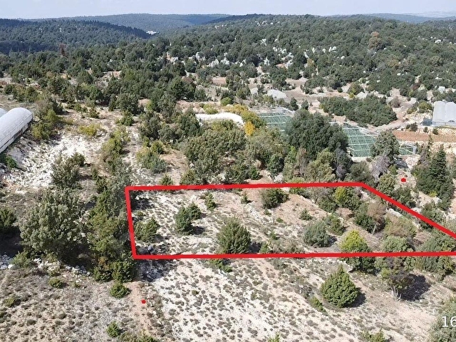 497 M² MÜSTAKİL TAPULU ARAZİ - Görsel 5