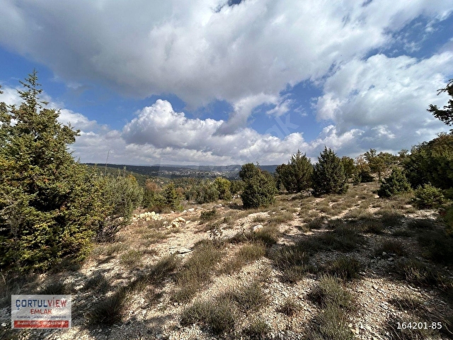 497 M² MÜSTAKİL TAPULU ARAZİ - Görsel 4