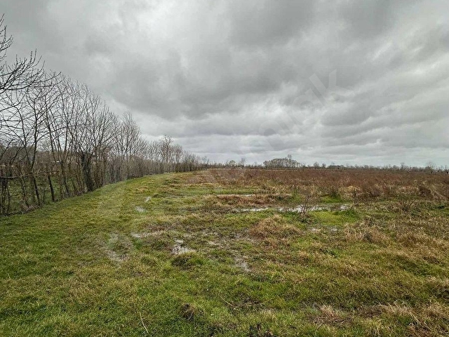 GÖRGÜLÜ EMLAK SATIYOR DENİZLER MAHALLESİNDE 15.850 m2 TARLA - Görsel 12