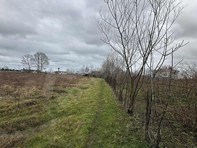 GÖRGÜLÜ EMLAK SATIYOR DENİZLER MAHALLESİNDE 15.850 m2 TARLA - Görsel 21