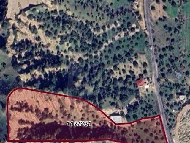 NAZİLLİ SAİLER KÖYÜNDE SATILIK 22 DÖNÜM ZEYTİNLİK - Görsel 9