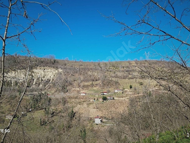 ORDU ULUBEY KIRANYAĞMUR DA SATILIK 2 ADET FINDIK BAHÇESI - Görsel 5