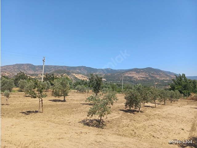 Okkalı Emlak tan Menemen Emiralem de Satılık Bahçe - Görsel 2