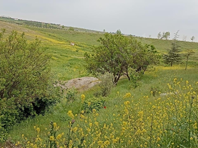 POLATLI KARGALI TEK TAPU SATILIK ARAZİ - Görsel 12