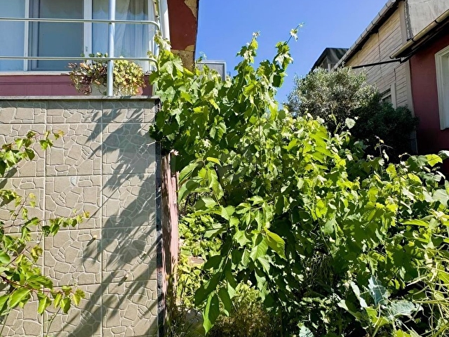Beylikdüzü Gürpınar 4+2 eşyalı villa - Görsel 19