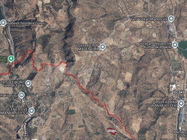 NAZİLLİ İSABEYLİ MAH. 6310M2 SU YAKIN YOLU VAR SATILIK ZEYTİNLİK - Görsel 6