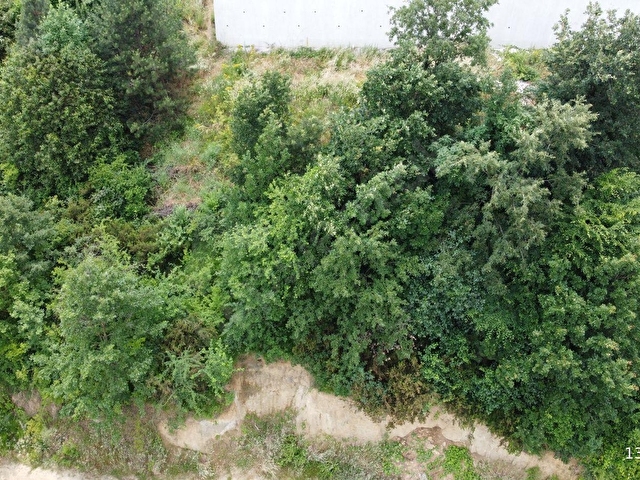 KOCAELİ BAŞİSKELE YEŞİLKENTTE SATILIK %40 VILLA VE KONUT İMARLI  ARSA - Görsel 13