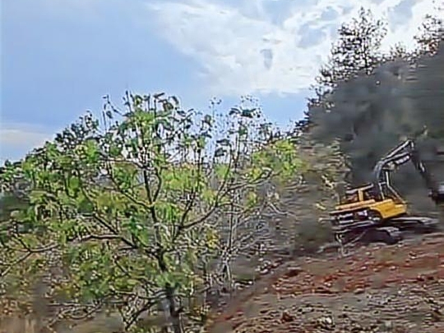 KARACAÖREN 1440m2 CEVİZ BAHCESİ - Görsel 11