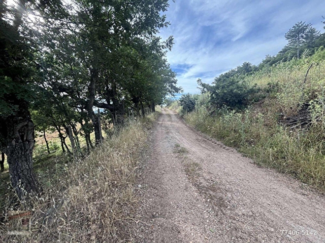 KAYMAKLAR GAYRİMENKUL DEN SATILIK İMARDİBİ 4.259 M2TARLA - Görsel 9