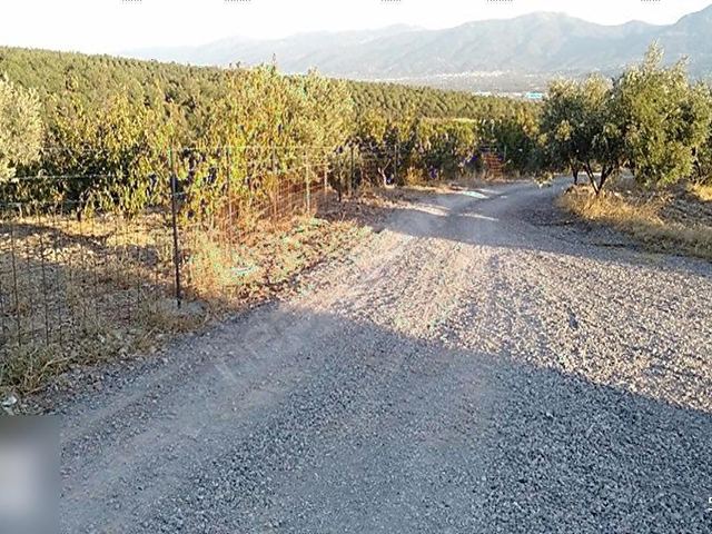 ACİL KEMALPAŞA SÜTÇÜLER - YENMİŞ KÖYÜ ARASINDA ASFALT YOLA CEPHE - Görsel 6