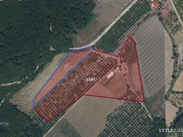 ROTADAN TOPARLARDA 3597m2 ACİL SATILIK KELEPİR TARLA - Görsel 2