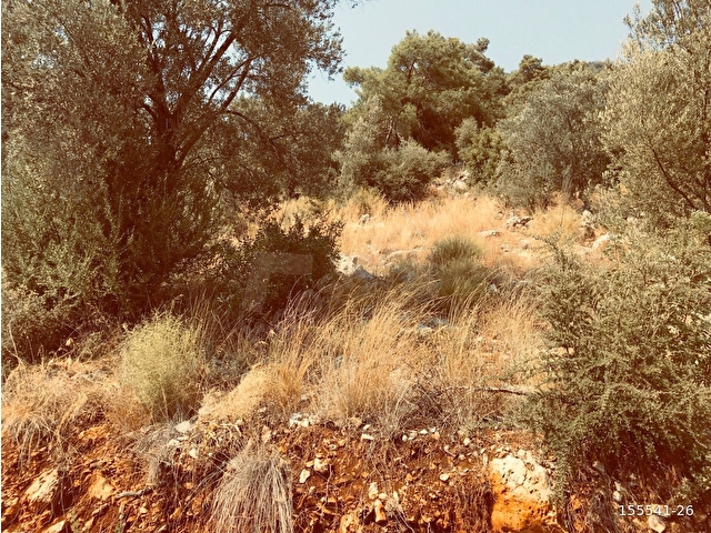 Muğla Fethiye İnlice de deniz manzaralı arazi - Görsel 17