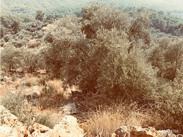 Muğla Fethiye İnlice de deniz manzaralı arazi - Görsel 8