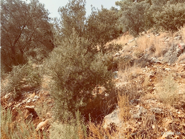 Muğla Fethiye İnlice de deniz manzaralı arazi - Görsel 16