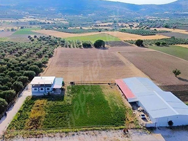 Manisa şehzadeler halıtlı mah işletme ruhsatlı ticari tesis ev - Görsel 13