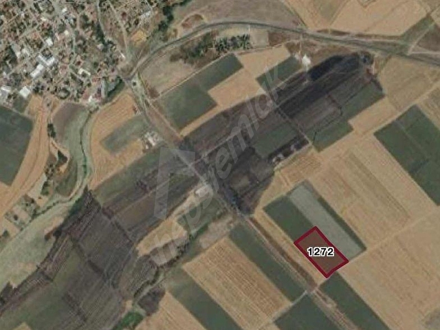 Muratlı Kırkkepeneklide 16.000 m2 tarla - Görsel 2