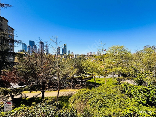 PARK MAYA OFİS BLOKLARINDA 7+1 240 M2 BAKIMLI OFİS KATI - Görsel 27
