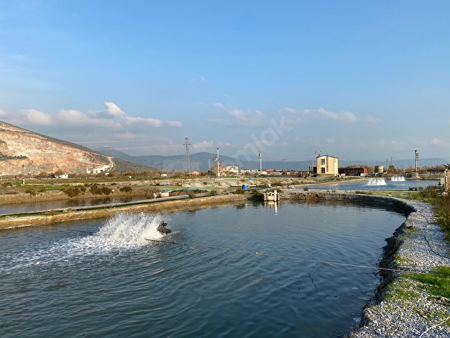 milas avsar mahallesinde 24000 m2 donum satilik balik ciftligi 4884 3426 hurriyet emlak