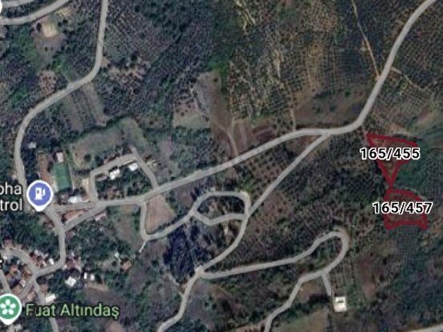 Apolyont Gayrimenkulden Satılık Yeni Sölözde tarlalar. - Görsel 20