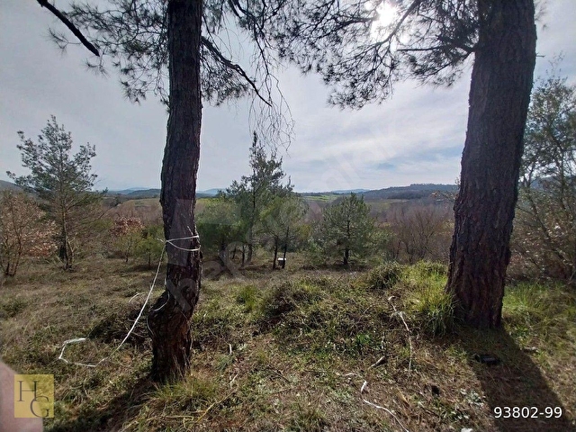 ÇANAKKALE YENİCE BAYATLAR DA 4 DÖNÜM - Görsel 3
