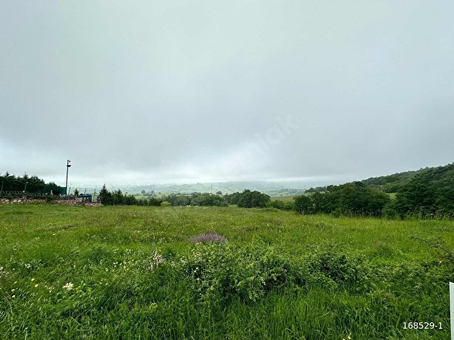 KÖRFEZ SEVİNDİKLİDE ANA ARTER ÜZERİNDE 8.977 m² - Görsel 7