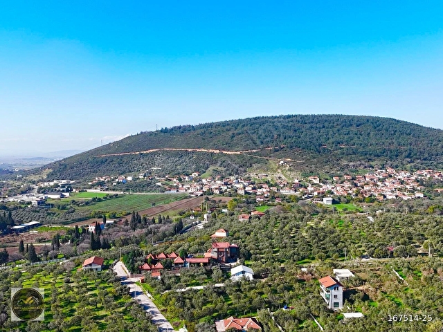 İZMİR FOÇA ILIPINARDA ZEYTİNLİ TARLA YATIRIMLIK FIRSAT! - Görsel 7