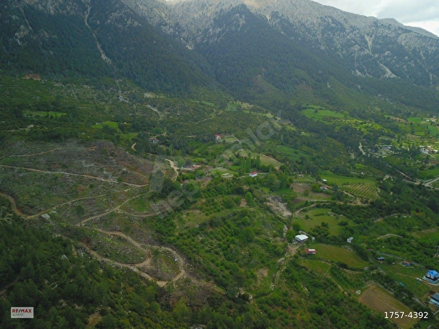 MUĞLA SEYDİKEMER BAĞLIAĞAÇTA MUHTEŞEM ARAZİ - Görsel 4