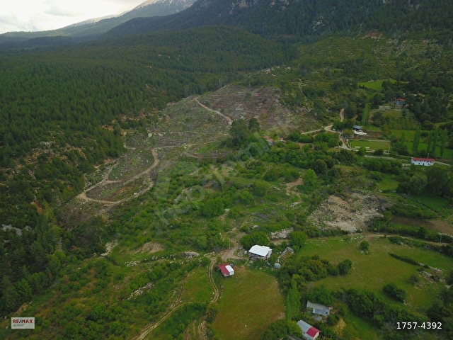 MUĞLA SEYDİKEMER BAĞLIAĞAÇTA MUHTEŞEM ARAZİ - Görsel 12