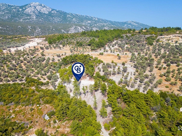 Karaburun Eğlenhocada 4044 m2 Satılık Tarla - Görsel 20
