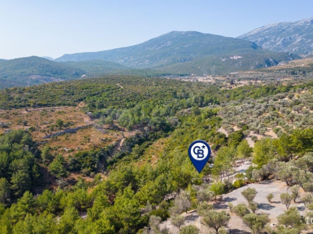 Karaburun Eğlenhocada 4044 m2 Satılık Tarla - Görsel 25