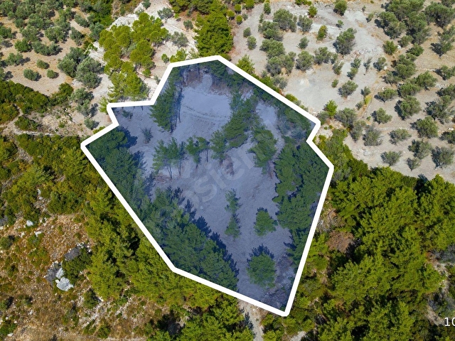 Karaburun Eğlenhocada 4044 m2 Satılık Tarla - Görsel 19