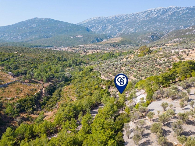 Karaburun Eğlenhocada 4044 m2 Satılık Tarla - Görsel 23