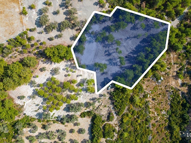 Karaburun Eğlenhocada 4044 m2 Satılık Tarla - Görsel 6