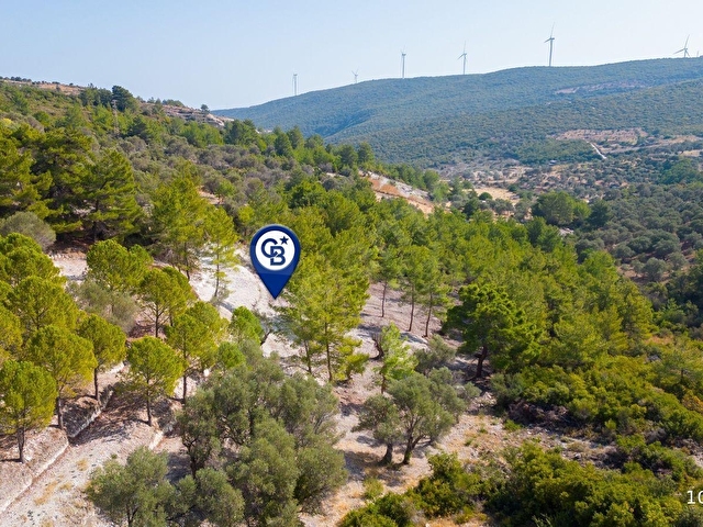 Karaburun Eğlenhocada 4044 m2 Satılık Tarla - Görsel 5