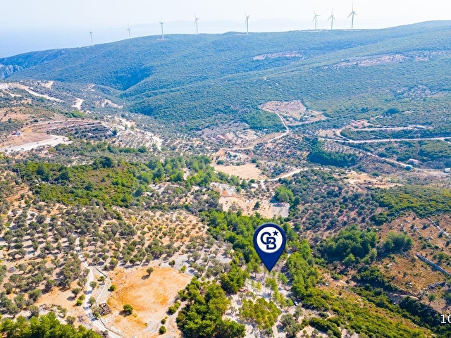 Karaburun Eğlenhocada 4044 m2 Satılık Tarla - Görsel 11
