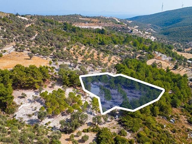 Karaburun Eğlenhocada 4044 m2 Satılık Tarla - Görsel 14