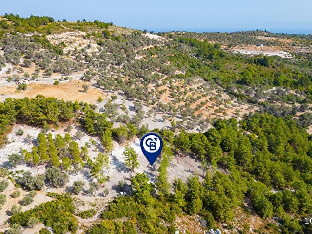 Karaburun Eğlenhocada 4044 m2 Satılık Tarla - Görsel 15