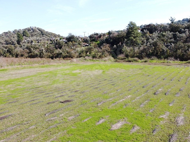 ORTACA MERGENLİ SATILIK 14.823m2 TARLA - Görsel 11