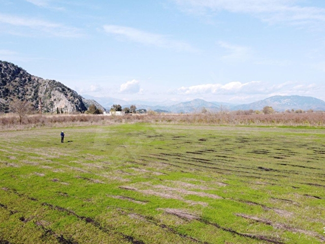ORTACA MERGENLİ SATILIK 14.823m2 TARLA - Görsel 8