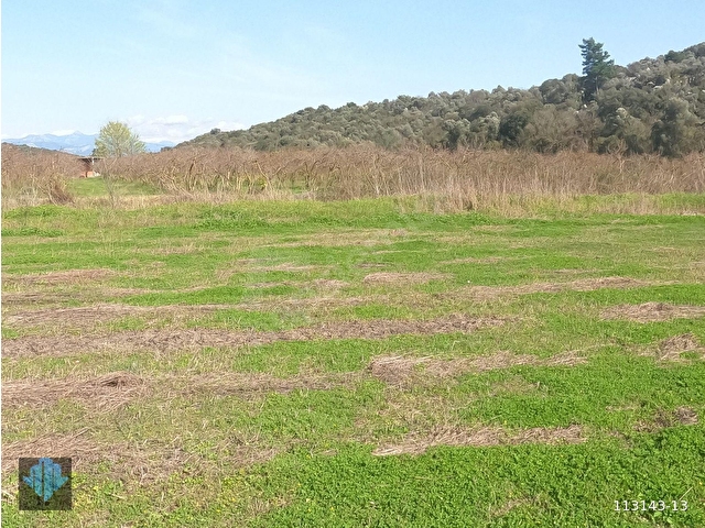ORTACA MERGENLİ SATILIK 14.823m2 TARLA - Görsel 24
