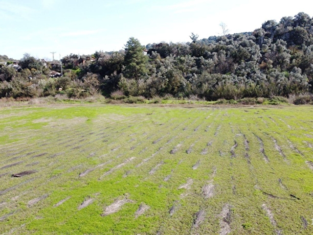 ORTACA MERGENLİ SATILIK 14.823m2 TARLA - Görsel 10