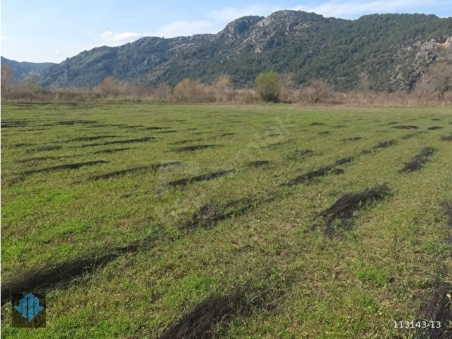 ORTACA MERGENLİ SATILIK 14.823m2 TARLA - Görsel 28
