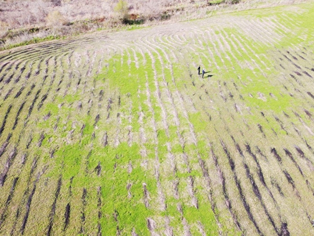 ORTACA MERGENLİ SATILIK 14.823m2 TARLA - Görsel 4