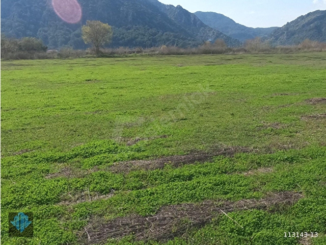 ORTACA MERGENLİ SATILIK 14.823m2 TARLA - Görsel 21