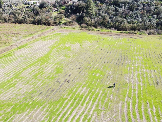 ORTACA MERGENLİ SATILIK 14.823m2 TARLA - Görsel 2