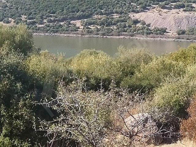 SAADET KORKMAZdan Katıralanında Satılık 23 Dönüm Baraja140 Metre Tarla - Görsel 4