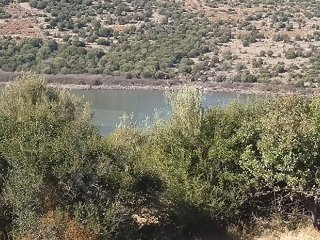 SAADET KORKMAZdan Katıralanında Satılık 23 Dönüm Baraja140 Metre Tarla - Görsel 8