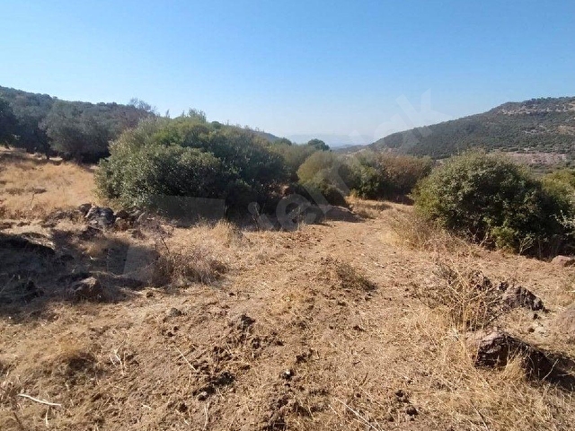 SAADET KORKMAZdan Katıralanında Satılık 23 Dönüm Baraja140 Metre Tarla - Görsel 10