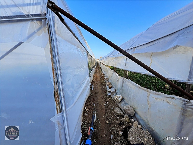 DUMANLAR BAHÇE NİTELİĞİNDE 4300 M2 ARSA VE SERASI SATILIK - Görsel 8