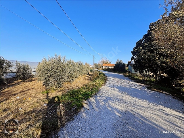 DUMANLAR BAHÇE NİTELİĞİNDE 4300 M2 ARSA VE SERASI SATILIK - Görsel 17